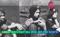 fanactivistcon GIF by Black Panther #FanActivistCon