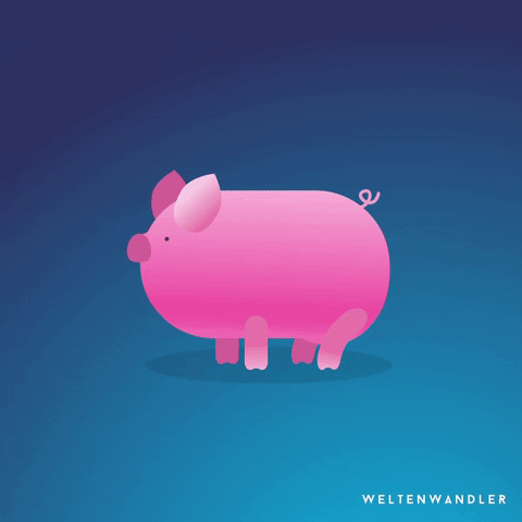 GIF by Weltenwandler