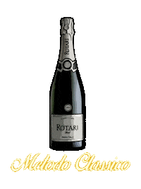 White Wine Cheers Sticker by Mezzacorona Wine