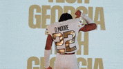 Georgia Tech Football Sport GIF by Georgia Tech Yellow Jackets