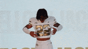 Georgia Tech Football Sport GIF by Georgia Tech Yellow Jackets