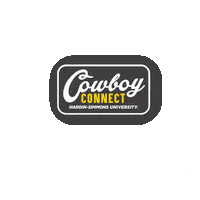 Texas Hsu Sticker by Hardin-Simmons University