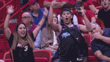 Happy Miami Heat GIF by NBA