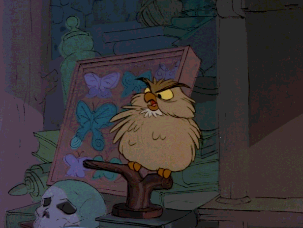 disney owl GIF