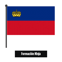 Flag Bandera Sticker by Formación Ninja