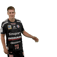 Handball Erlangen Sticker by DAIKIN HBL