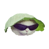 sunglasses hat STICKER by imoji