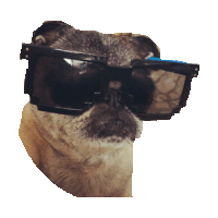 pug dwi STICKER by imoji