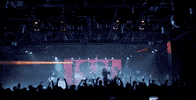 Anywhere But Here Tour GIF by Mayday Parade