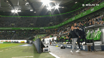 Head Coach Soccer GIF by VfL Wolfsburg