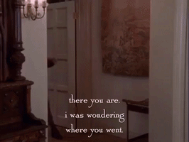 season 1 netflix GIF by Gilmore Girls 