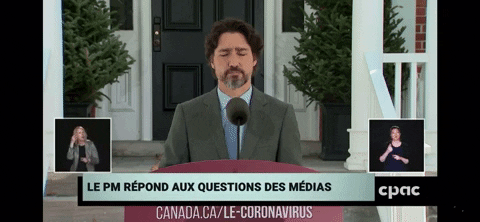 jean-michelclermont-goulet giphygifmaker covid bee justin GIF