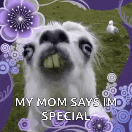Special GIF by memecandy