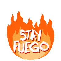 Awesome Fire Sticker by Vida