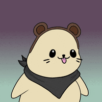 Fun What GIF by Sappy Seals Community