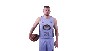 Liga Endesa Sport Sticker by ACB