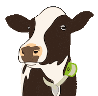 Digitanimal cow vaca lengua digitanimal Sticker