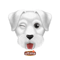 UltimaES amor in love love you perro Sticker