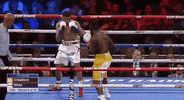toprank boxing fighting espn fighters GIF