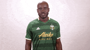 portland timbers thumbs down GIF by Timbers