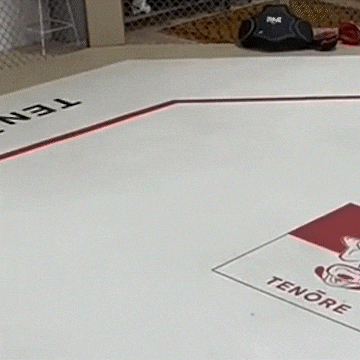 Mikey_Musumeci giphyupload ufc looking watching GIF