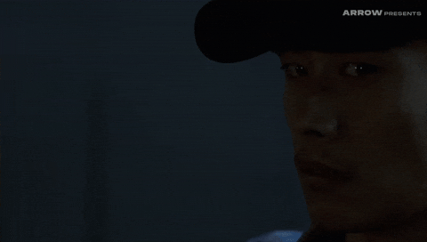 Takashi Miike Horror GIF by Arrow Video