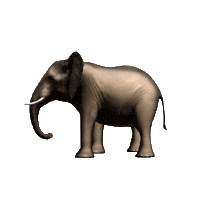 Walking Africa Sticker by GT8Studios