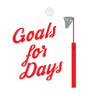 sport goal Sticker by WDNA