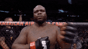 Mixed Martial Arts Sport GIF by UFC