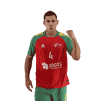 Ehfeuro Sticker by Federação de Andebol de Portugal