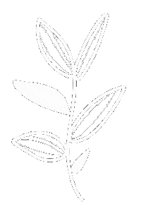 Leaves Vibe Sticker by Conviteria Com Amor