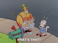 rockos modern life nicksplat GIF