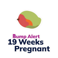 Baby Alert 19 Weeks Sticker by The Bump