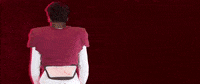 Football Roll Pards GIF by Lafayette Leopards