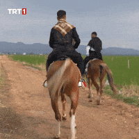 See You Ok GIF by TRT