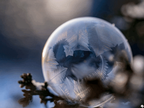 GIF by FranchiseONE.de