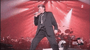 johnny hallyday GIF by franceinfo
