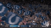 Indianapolis Colts Football GIF by NFL