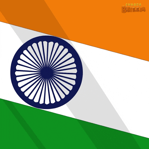 Republic Day Patriotism GIF by Chhota Bheem