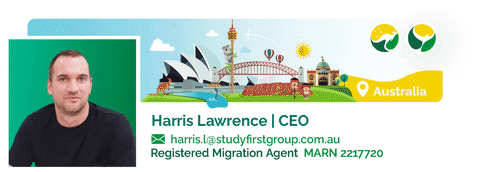 GIF by Study First Group