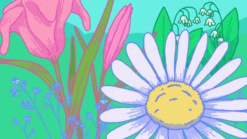 Flowers Background GIF