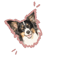 Loesje Sticker by Lauranne leest