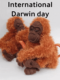 Charles Darwin Monkey GIF by TeaCosyFolk