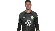 Koen Casteels Hello Sticker by VfL Wolfsburg