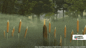king arthur animation GIF by SWR Kindernetz