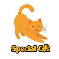 Cat Kitty Sticker by Special Dog