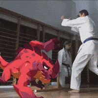 Karate Kicking GIF by mo.co