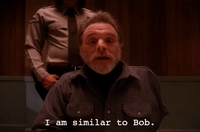 season 2 episode 6 GIF by Twin Peaks on Showtime