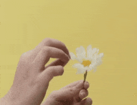 Flower Love GIF by Stephanie Poetri