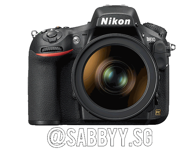 Nikon Sabbysg Sticker by NikonIndia
